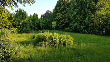 Garten Nr. 23